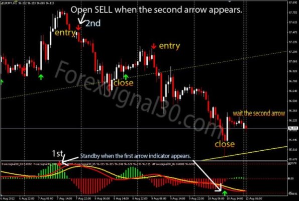 Forex Signals 30 with an accuracy of 80 to 95 %